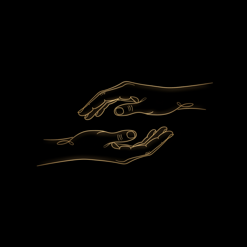 Wise Hands — assinatura editorial em traço dourado contínuo